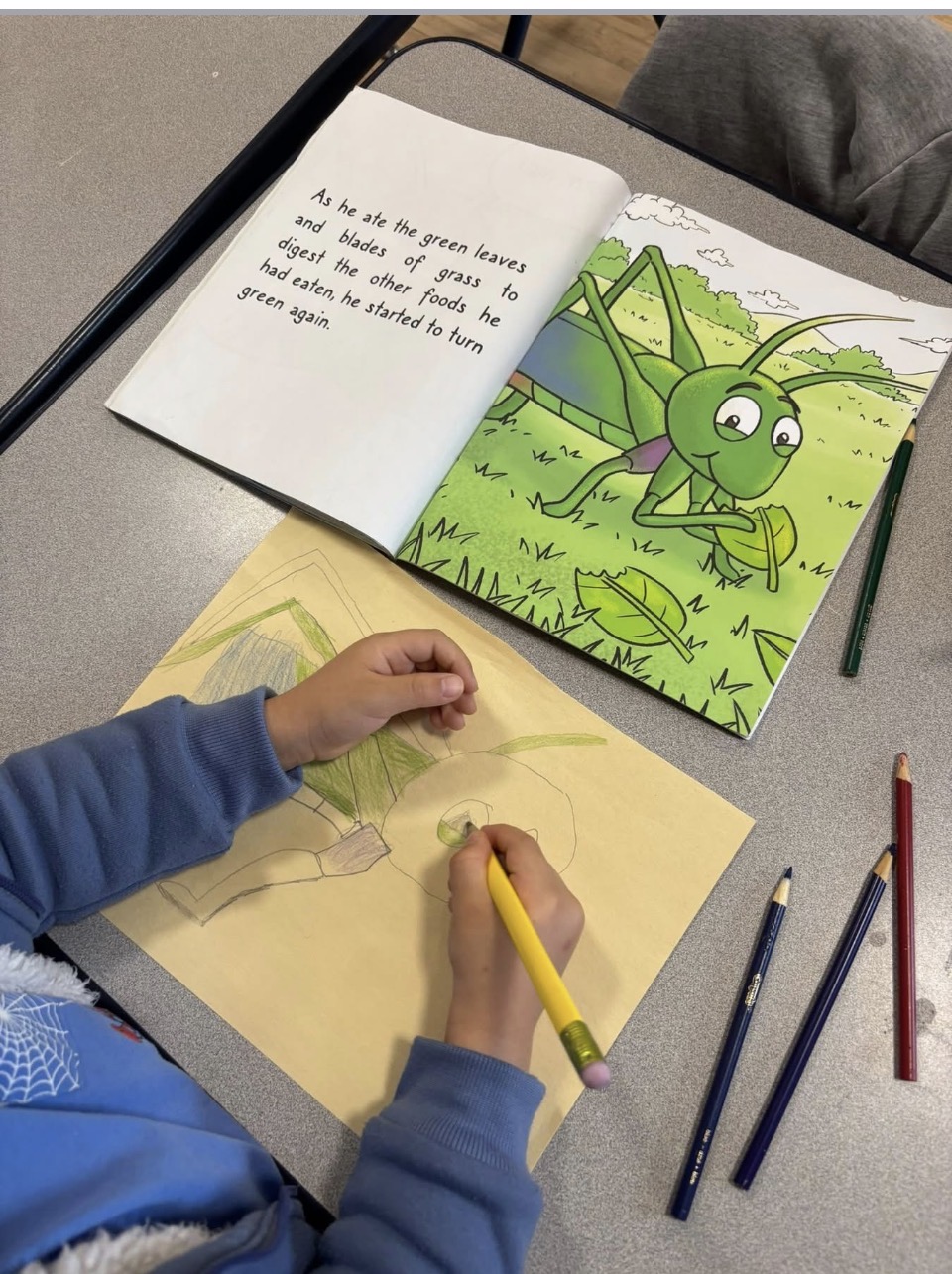 VPK / School Readiness Application